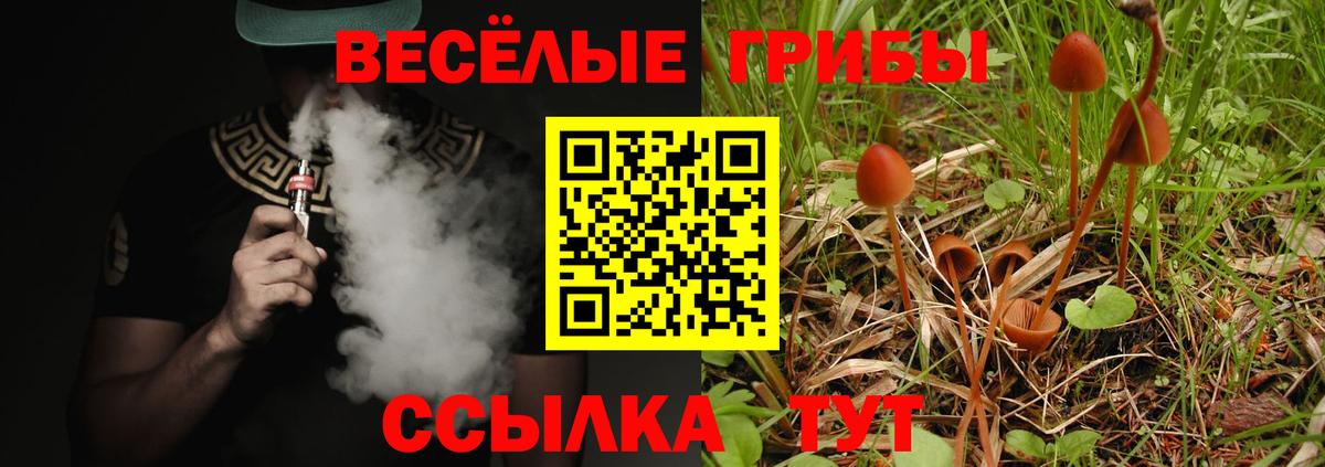 Галлюциногенные грибы ЛСД  Вход с VPN  Борисоглебск  Галлюциногенные грибы мицелий 